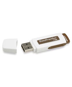 Kingston DataTraveler Portable 1GB Flash Drive