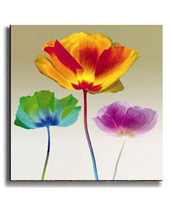 Poppy Chromatic by Robert Mertens Stretched Canvas Art
