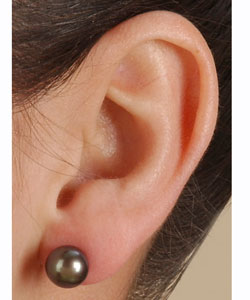 Black Cultured Akoya Pearl Earrings