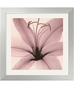 Steven N. Meyers Lily Framed Art Print