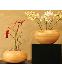 Natural Bamboo Orchid Vases (Set of 2)