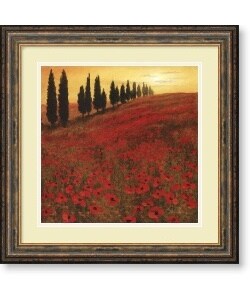 Steve Thoms Poppies Framed Art Print