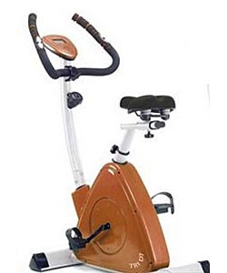 Omega Triangular Upright Bike