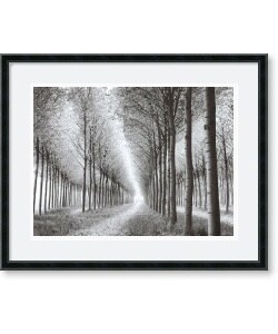 Chip Forelli Tree Parade Framed Art Print