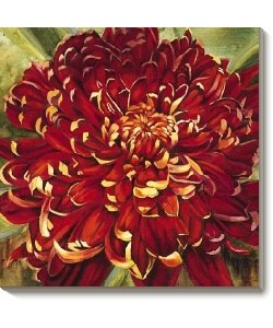 Selina Werbelow Chrysanthemum Canvas Art