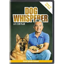 Dog Whisperer with Cesar Millan: Power of the Pack (DVD)