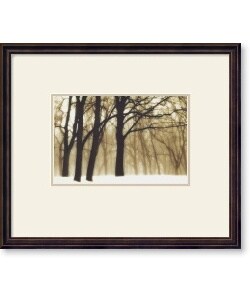 David Lorenz Winston Past Dreams, 2002 Framed Art Print