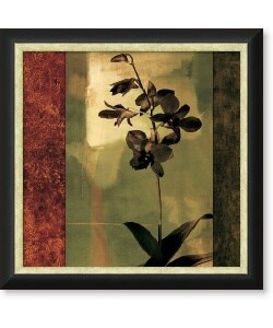 Chris Donovan Mesmerized II Framed Canvas Art