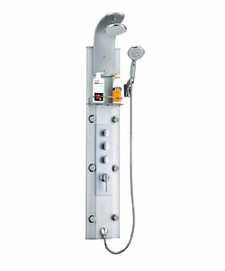 Shower Panel with Rain Shower Head