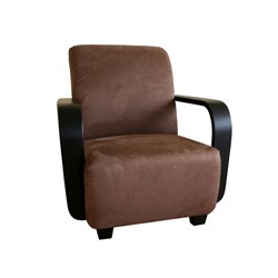 Bliney Microfiber Club / Accent 2-piece Chair Set