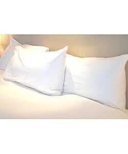 Allergy Free Pillow Protector Pair