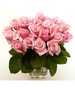 Pink Long Stem Roses (20 Stems)