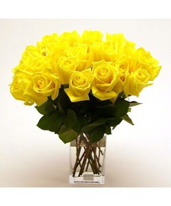 Yellow Long Stem Roses (Case of 20)