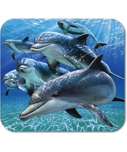 Dolphin Play Mouse Pad