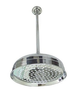Chrome Showerhead and Arm