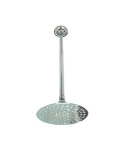 Chrome Showerhead and Arm