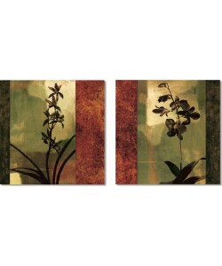 Chris Donovan Mesmerized Canvas Art Set