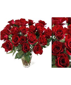250 Fresh Red Wholesale Roses (18 in. stem length)