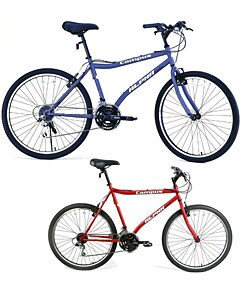 Alpha Campus Commuter Bike