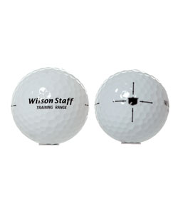 Wilson Practice Training Range Golf Balls (Case of 72)