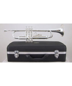 Elegant Silver Trumpet