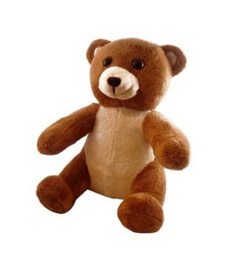 Benny the Bear Antimicrobial Stuffed Toy