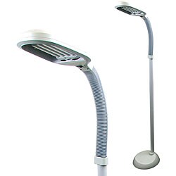 Trademark Sunlight Floor Lamp