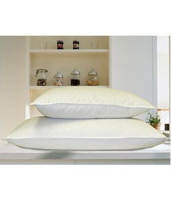 Arctica Down Pillows (Pack of 2)