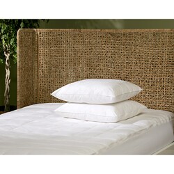 Memory Foam Queen Mattress Topper with Down Top Fit Right Cover