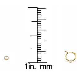 14k Gold Hoop with Pearl and Pearl Stud Earrings (3-3.5 mm)