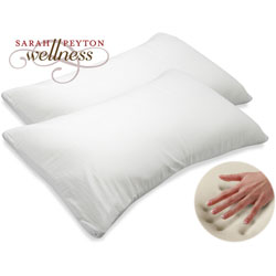 Sarah Peyton Memory Foam Traditional Pillow (Pack of 2)