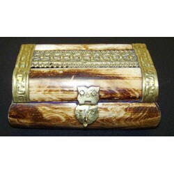 Handcrafted Brass and Bone Chest (India)