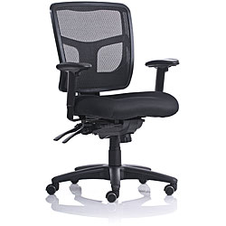Ergo Mesh Medium Back Task Chair