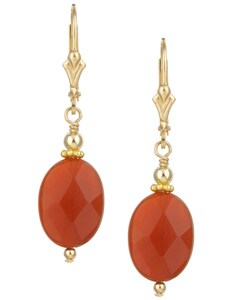 Charming Life 14k Goldfill Carnelian Drop Earrings