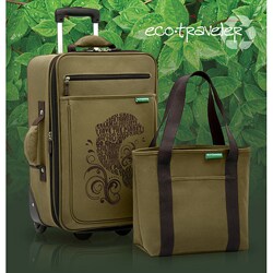 Eco Traveler 2-piece Expandable Carry-on Luggage Set - Dolphin Design