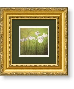 Don Li-Leger 'Garden Delights II' Framed Art Print