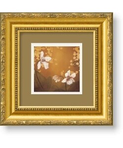 Don Li-Leger 'Garden Delights III' Framed Art Print