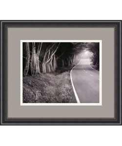 Dennis Dunton Bodega Road Framed Print