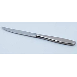 Oneida Tempo 12-piece Dinner Knife Set