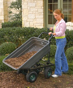 Utility Dump Cart