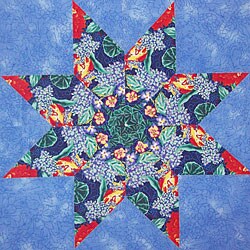 Summer Etchings Fabric Kit 12 Quilt Blocks