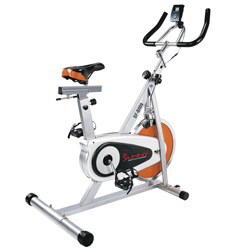 Sunny Indoor Exercise Bike