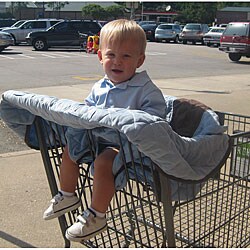 Baby Boy Blue Grocery Cart Cover