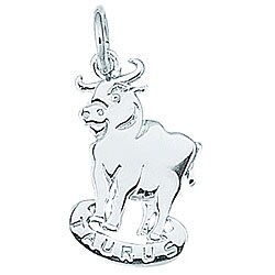 Sterling Silver Taurus Astrology Charm