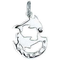 Sterling Silver Pisces Fish Charm