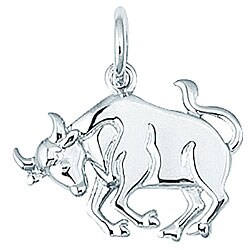 Sterling Silver Taurus Charm