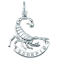Sterling Silver Scorpio Zodiac Charm