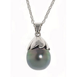 10k Gold Tahitian Pearl Drop Necklace (9-10 mm)