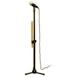 Mic Stand and Drum Stick Combo for Rock Band