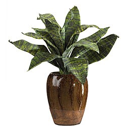 Tiger Leaf Silk Plant with Ceramic Vase